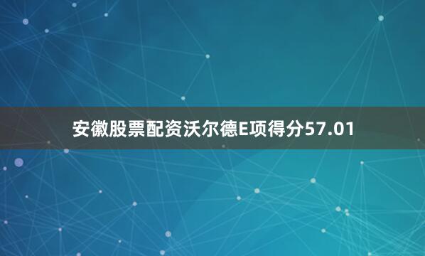 安徽股票配资沃尔德E项得分57.01