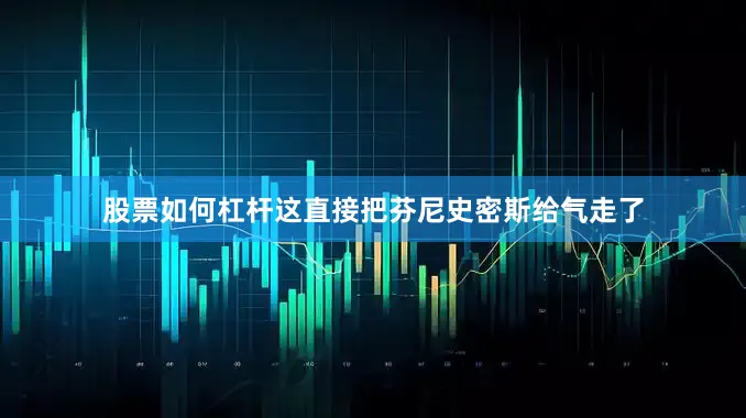 股票如何杠杆这直接把芬尼史密斯给气走了